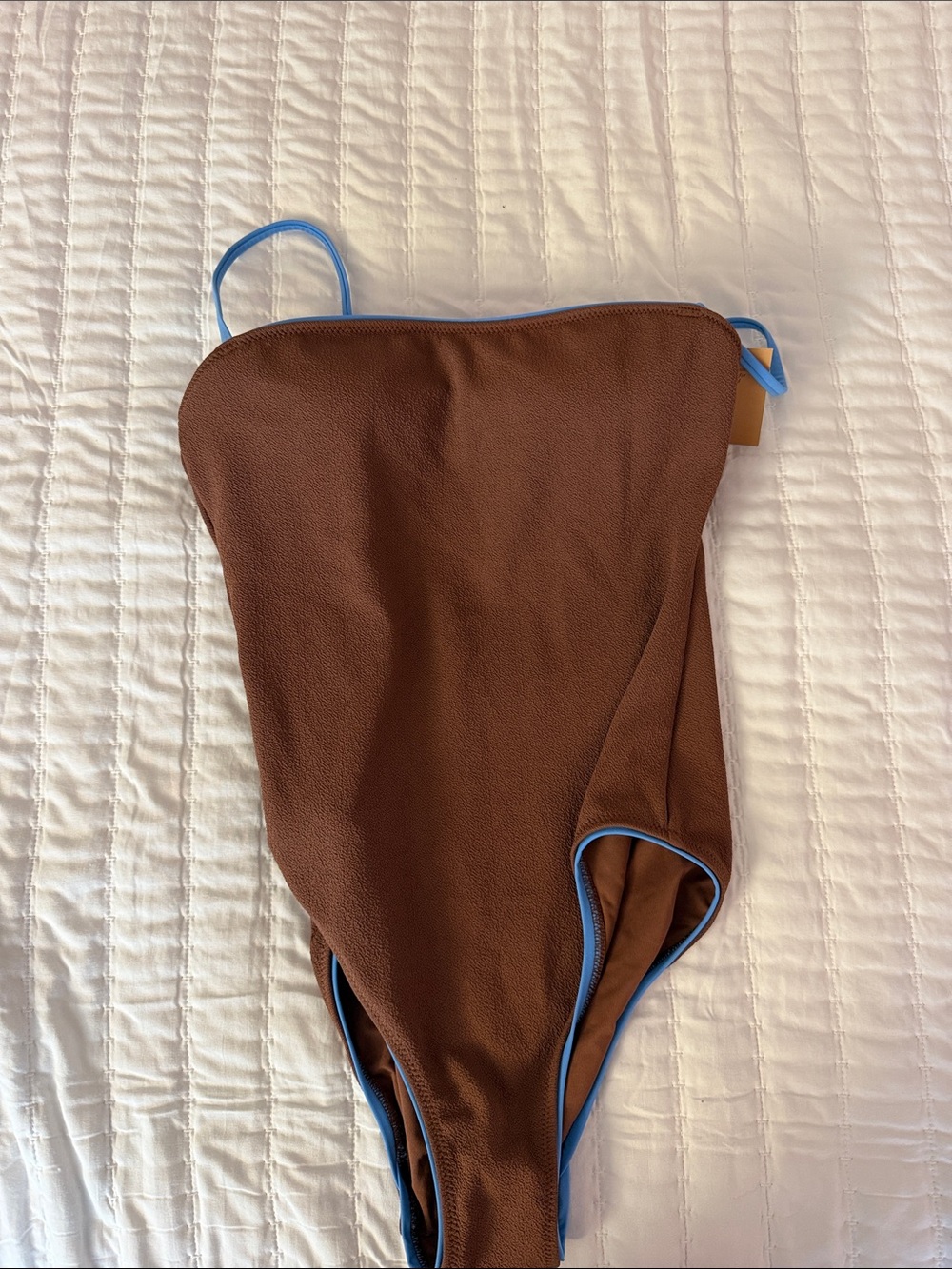 Shade & Shore Brown One-Piece with Bright Blue Trim
